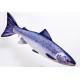 Gaby Atlantic Salmon / Losos